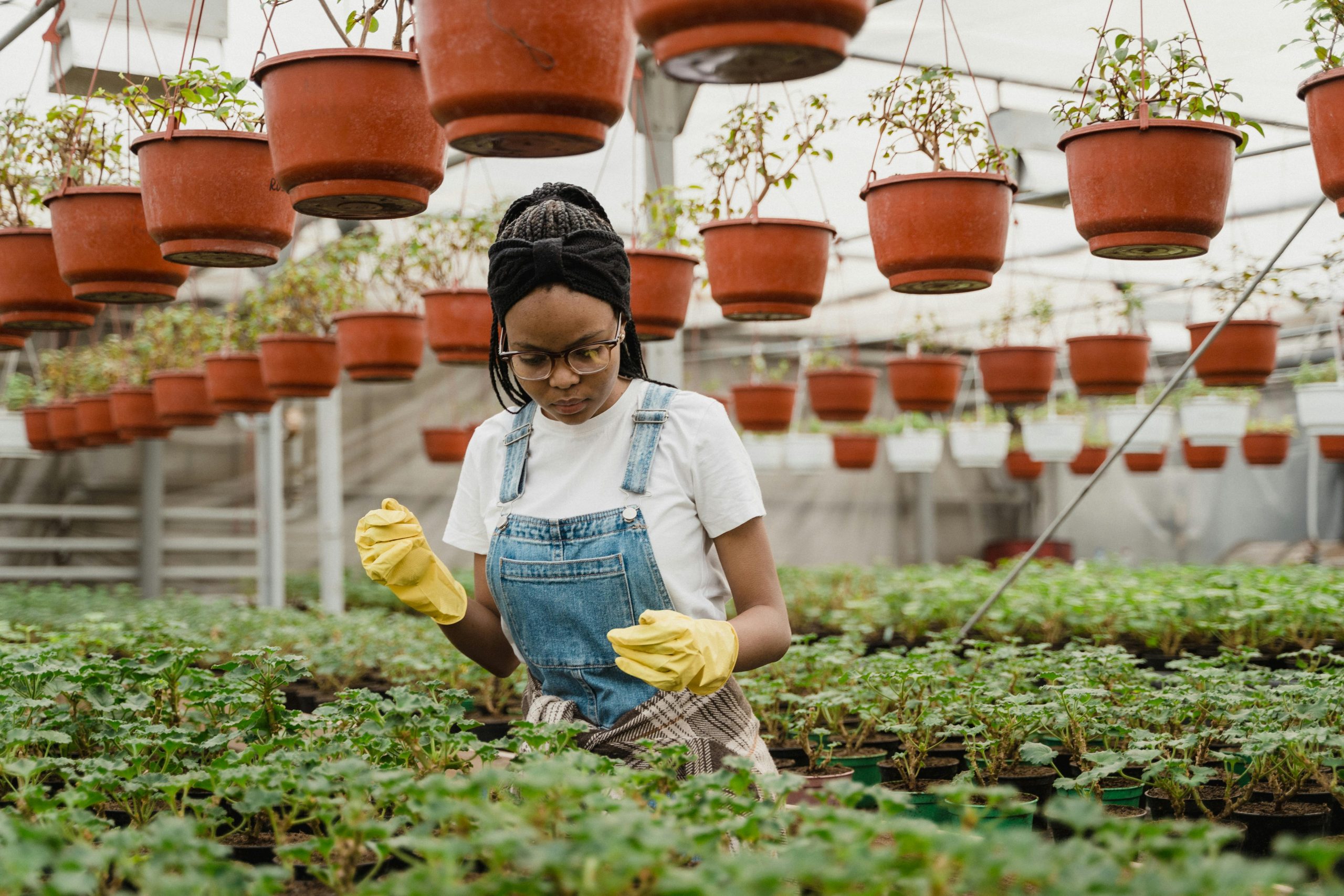 A woman tends to plants in a greenhouse, surrounded by potted plants and greenery.